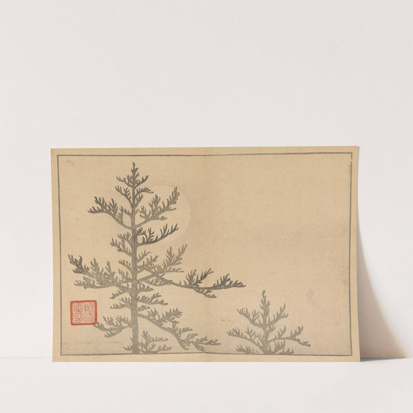Sakai Hōitsu gajō, Pl.16 (1800-1912) by Sakai Hōitsu