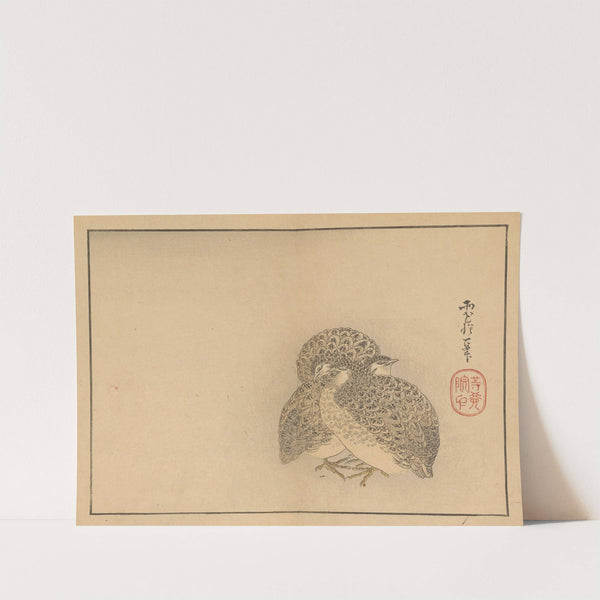 Sakai Hōitsu gajō, Pl.20 by Sakai Hōitsu