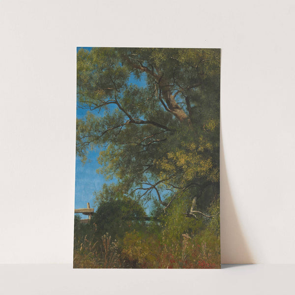 Salem, Oregon (circa 1863) by Albert Bierstadt