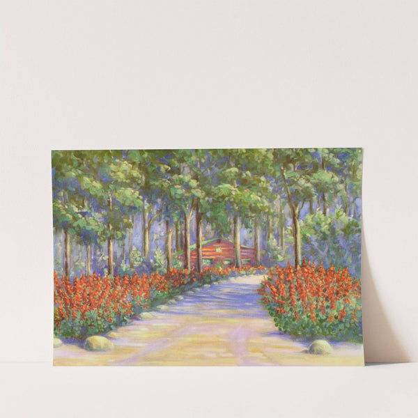 Salvia by Lafayette F. Cargill