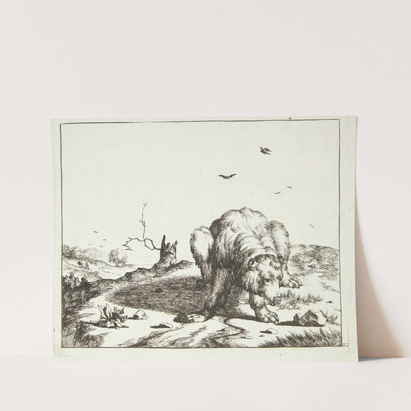 Sammenkrøbet bjørn by Marcus de Bye