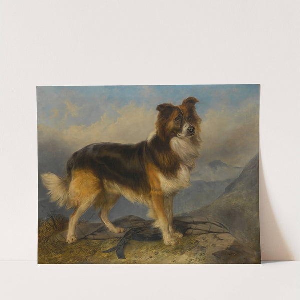 Sammie by Richard Ansdell