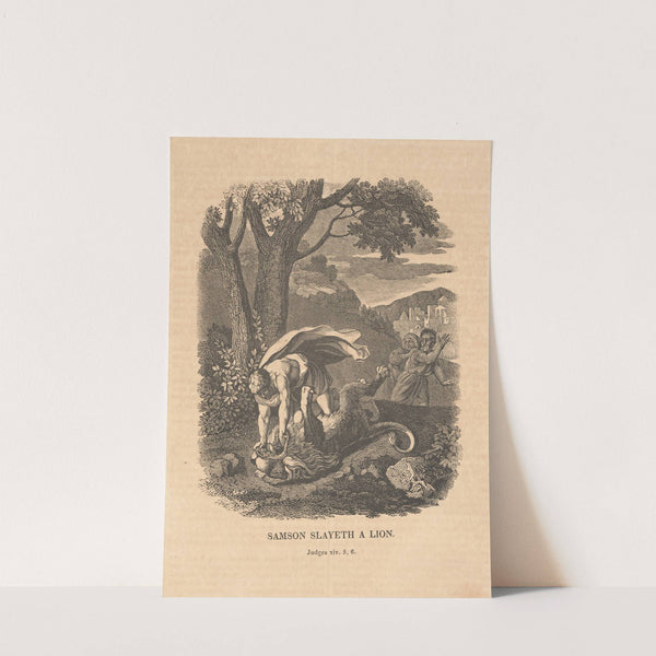 Samson slayeth a lion by Alexander Anderson