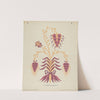 San Gabriel Mission Priest's Vestment from the portfolio Decorative Art of Spanish California by American 20th Century