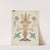 San Juan Capistrano Mission Border Design from the portfolio Decorative Art of Spanish California by American 20th Century