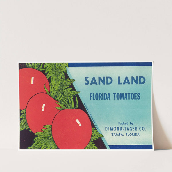 Sand Land Florida Tomatoes Label (1930-1950)
