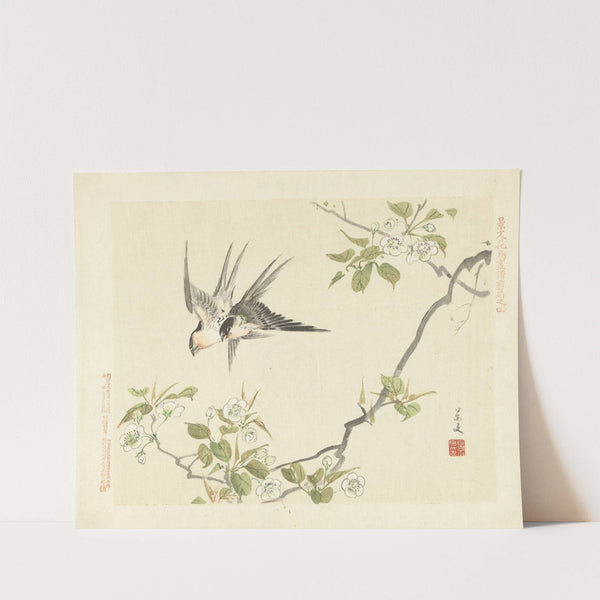 Sand pear and barn swallow (1892) by Matsumura Keibun