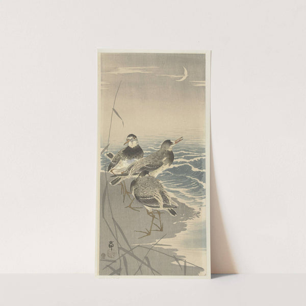 Sandpipers at sickle moon (1910 - 1930) by Ohara Koson