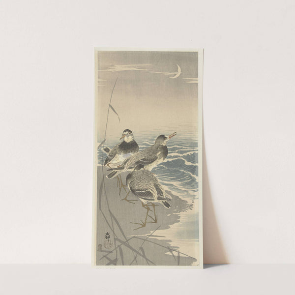 Sandpipers at sickle moon (1900 - 1910) by Ohara Koson