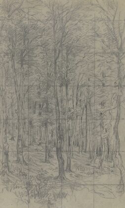 Saplings on a slope