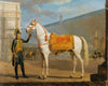 Sara, Napoleon’s Horse