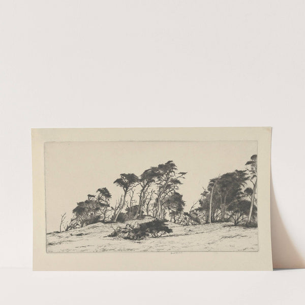 Saraband (1919) by Ernest Haskell