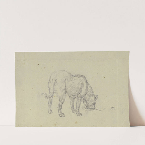 Saufender Hund, von hinten gesehen by Ferdinand Fellner