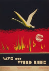 Save our wild life