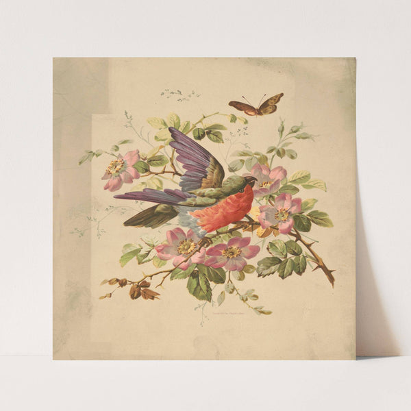 Scarlet and green parrot and wild roses (1882) by Louis Prang & Co.