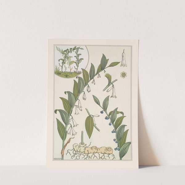 Sceau de Salomon by Maurice Pillard Verneuil