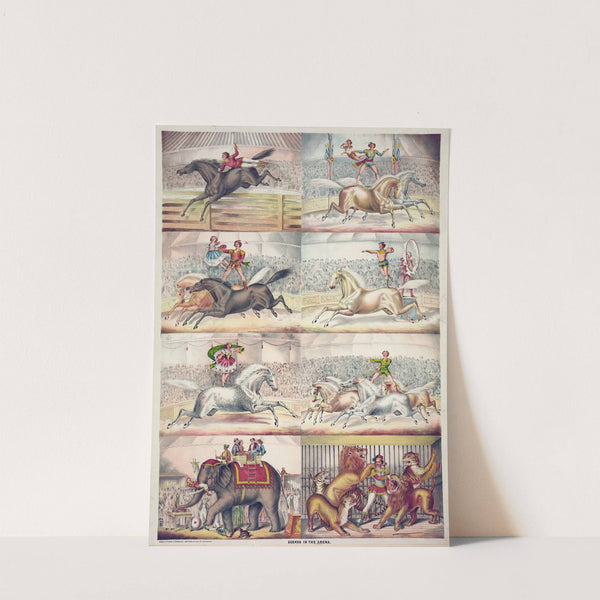 Scenes in the arena (1873) by Gibson & Co. Lith