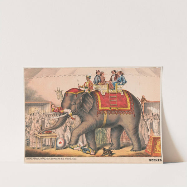 Scenes in the arena (1873) by Gibson & Co. Lith