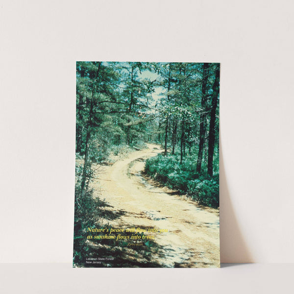 Scenically Yours, Nature's peace will flow into you as sunshine flows into trees. Lebanon State Forest, New Jersey by U.S. Information Agency