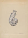 Scent Bottle