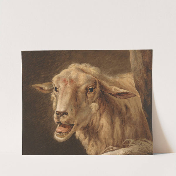 Schaapskop, after Andries Vermeulen by Jean Zacherie Mazel