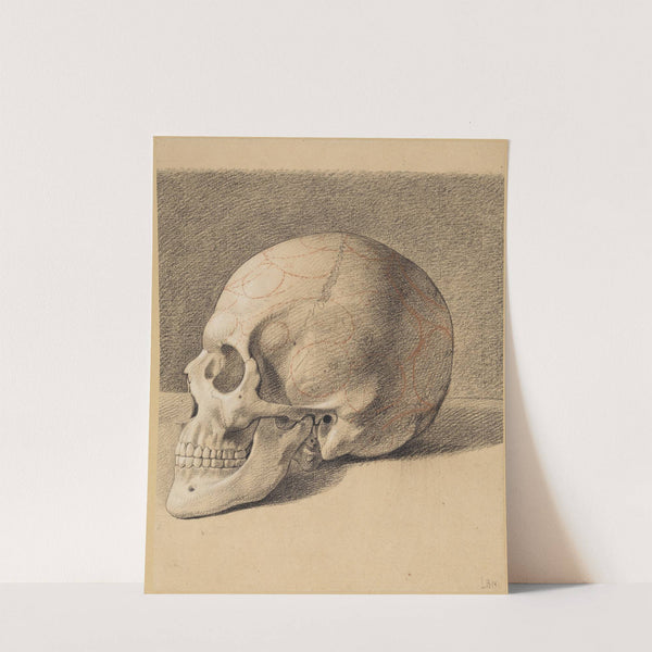 Schädelstudie; Linksprofil eines Schädels by Philipp Jakob Becker