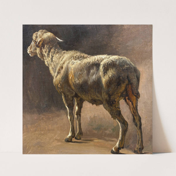 Schaf by Christian Mali