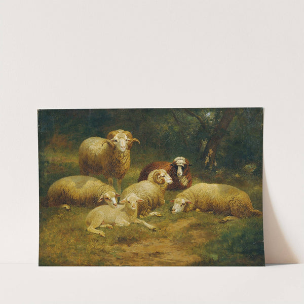 Schafe by Johann Baptist Hofner