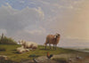 Schafe in Landschaft