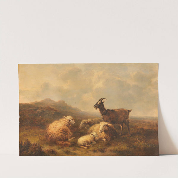 Schafe und Ziegen auf der Weide (1870) by Eugène Joseph Verboeckhoven