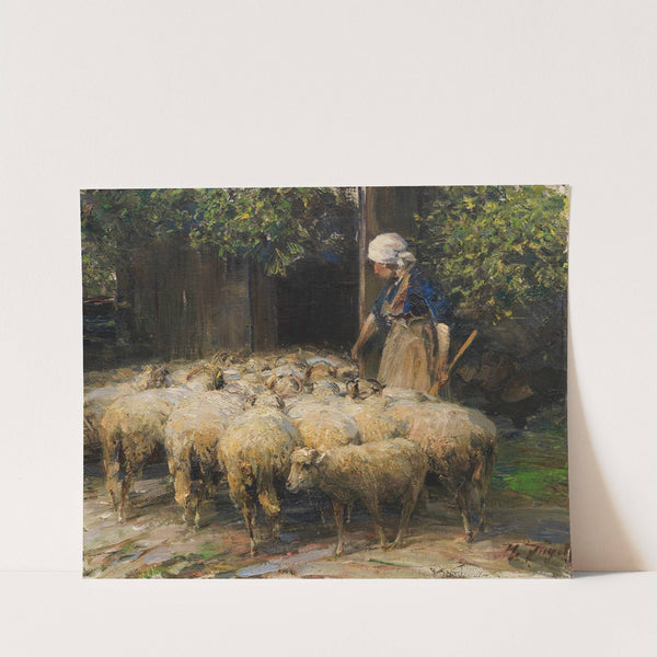 Schäferin mit Schafherde am Stall (ca 1925) by Heinrich Von Zügel