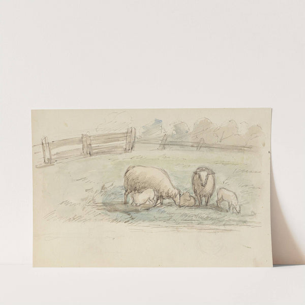 Schapen in een weide by Jozef Israëls