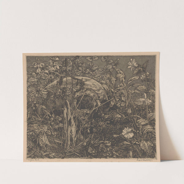 Schedel tussen bloemen in een veld (1911 - 1942) by Arend Hendriks