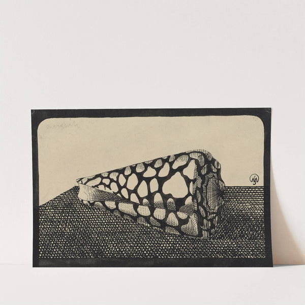 Schelp, naar links by Samuel Jessurun de Mesquita