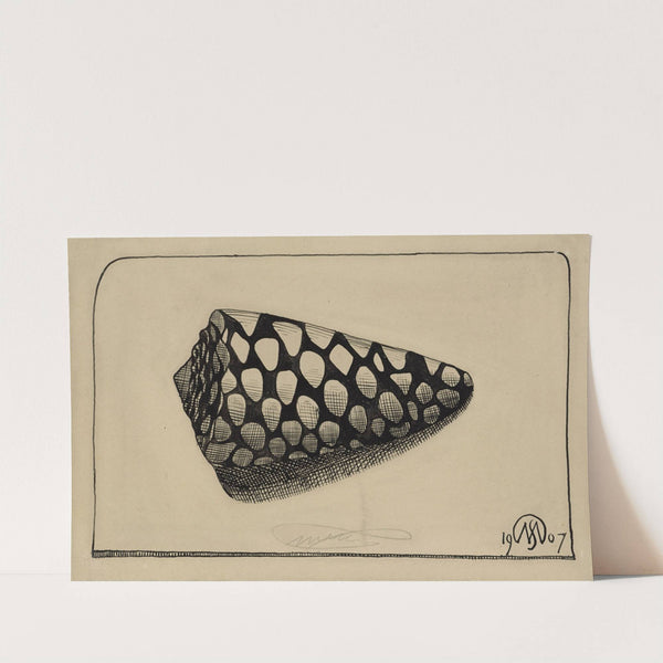 Schelp, naar rechts by Samuel Jessurun de Mesquita