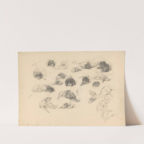Schetsblad met diverse hondenstudies by August Allebé