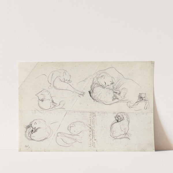 Schetsen van een poes (1877 - 1932) by Marius Bauer