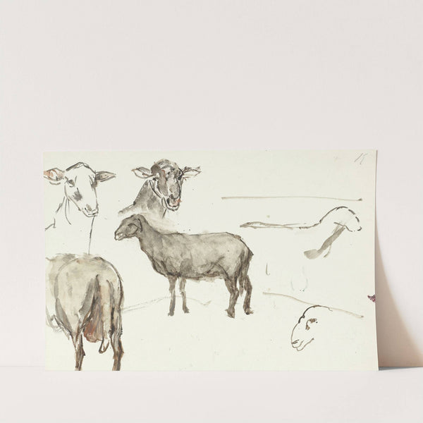Schetsen van schapen by Sientje Mesdag Van Houten