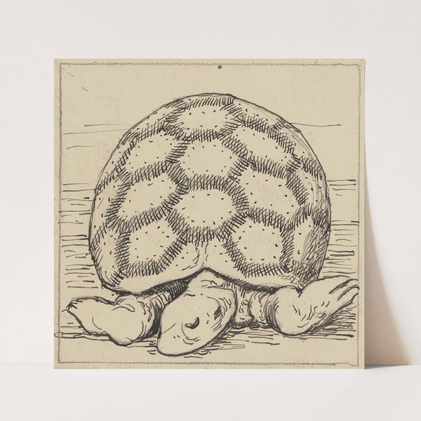 Schildkröte (ca 1905) by Hans Thoma