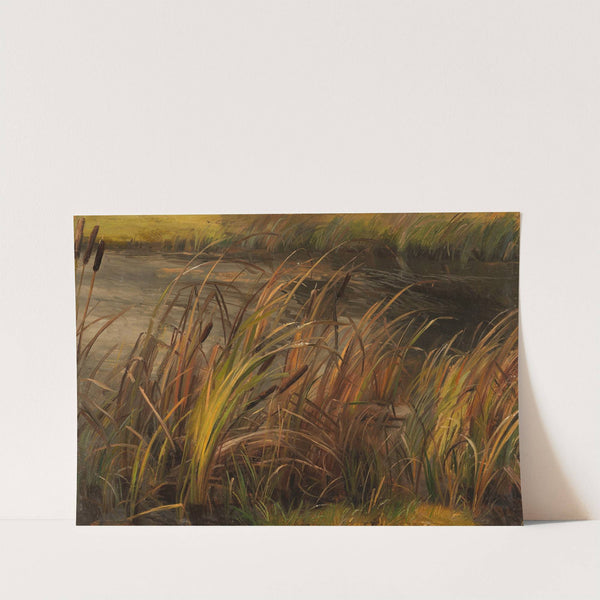 Schilf am herbstlichen Bachufer by Christian Friedrich Gille