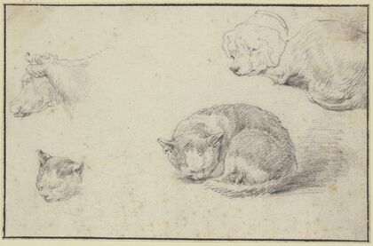 Schlafende Katze und Hund, ein Kuhkopf und ein Katzenkopf