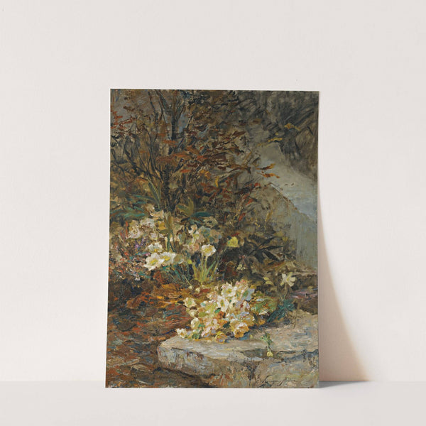 Schneerosen (Hellebores) by Olga Wisinger-Florian