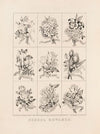 School rewards (1874)