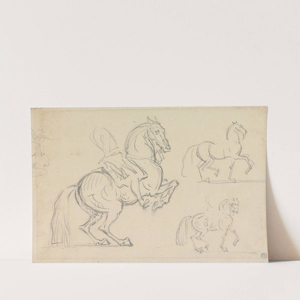 Schooling Horses; Three Studies on a Page by James Seymour