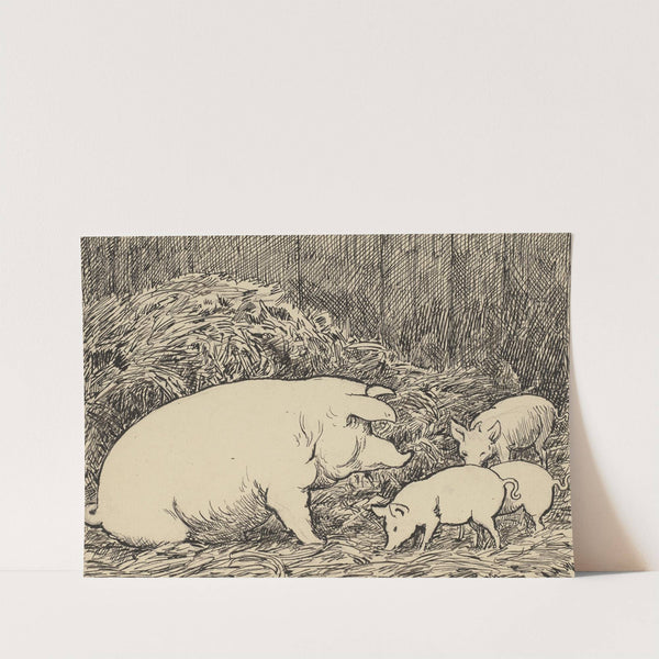 Schwein (ca 1905) by Hans Thoma