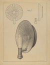 Sconce