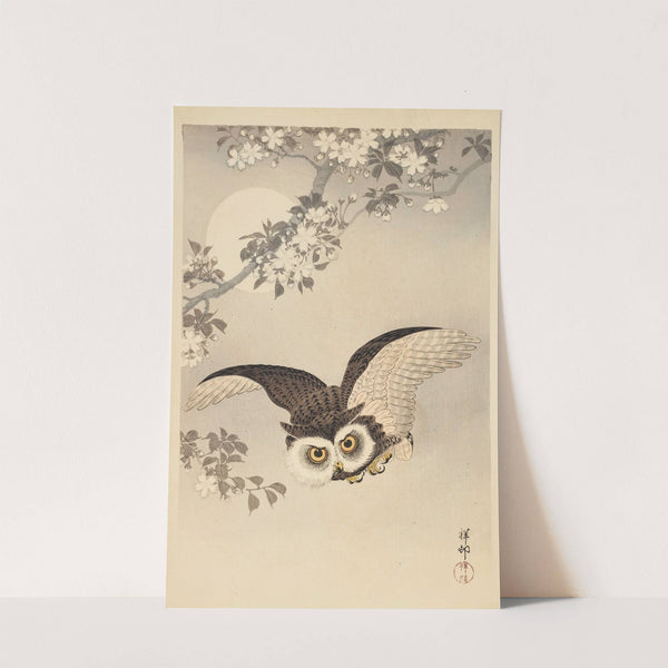 Scops Owl, Cherry Blossoms, and Moon by Ohara Koson