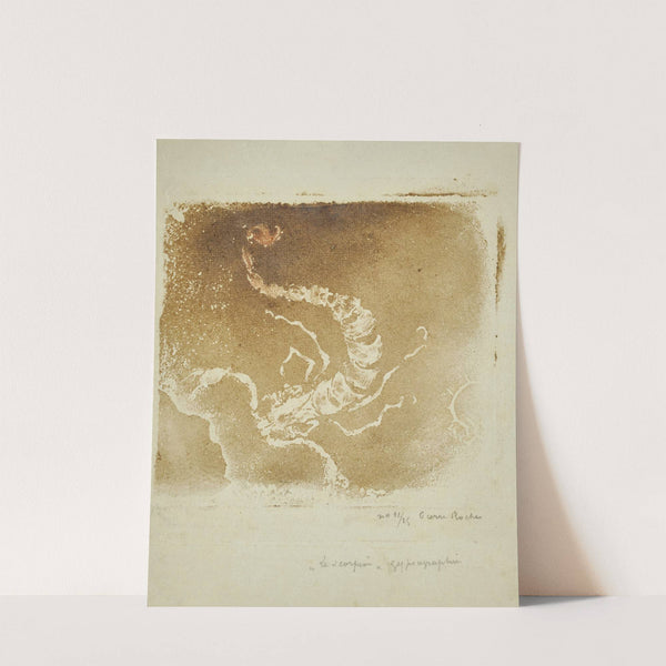 Scorpion (1897) by Pierre Roche