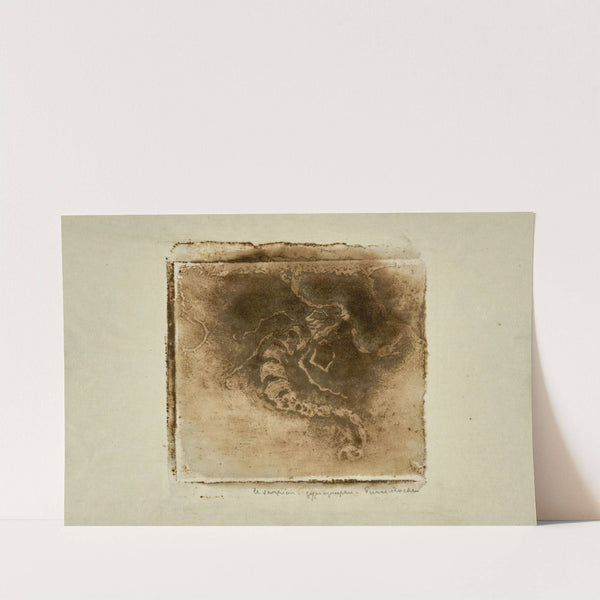 Scorpion (1897) by Pierre Roche