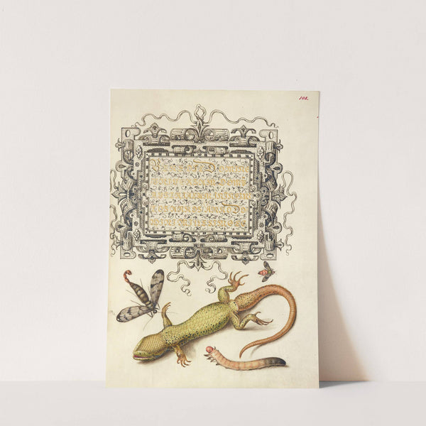 Scorpionfly, Insect, Lizard, and Insect Larva (1561–1596) by Joris Hoefnagel